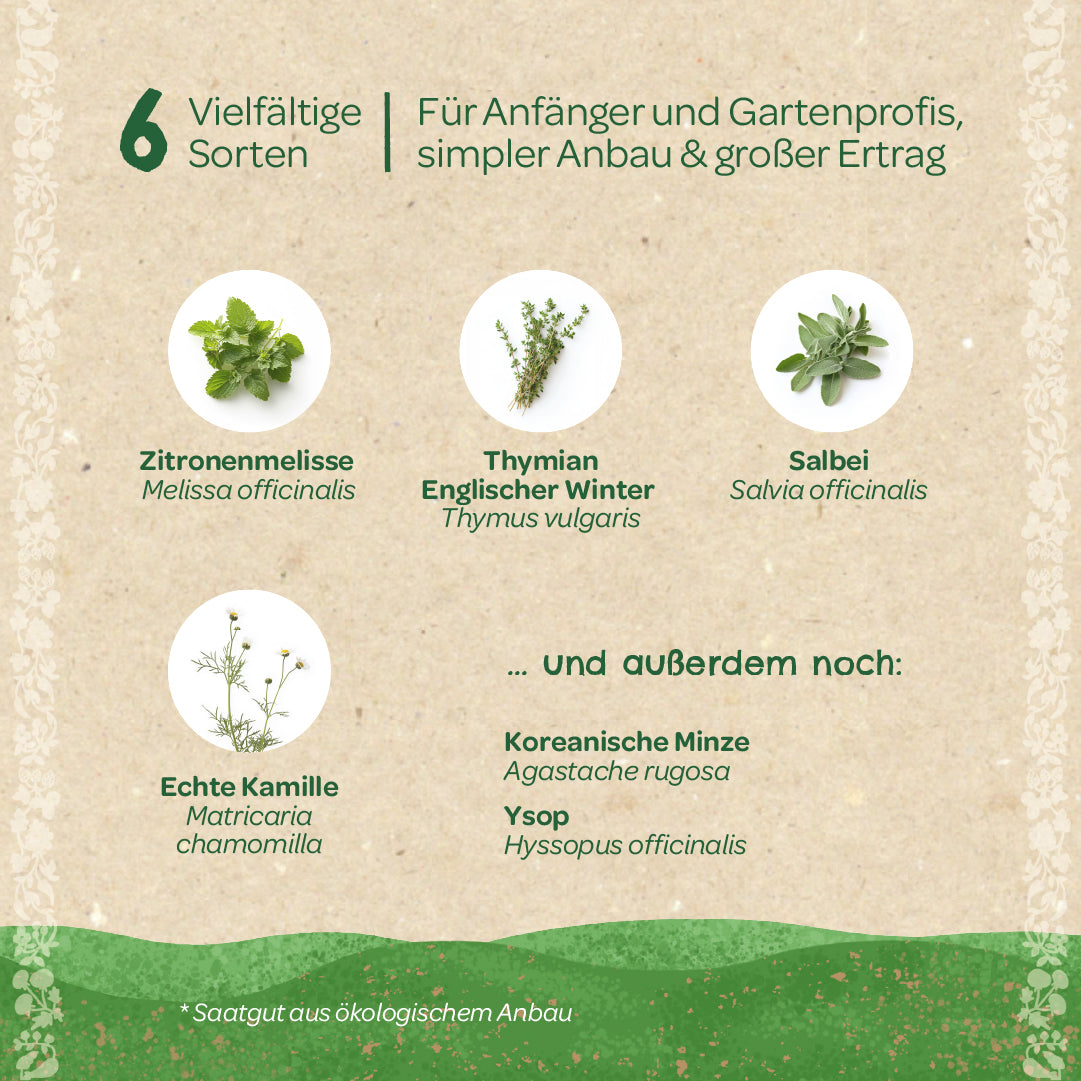 Organic seed set "Tea herbs"