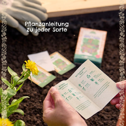 Organic seed set "Tomatoes"