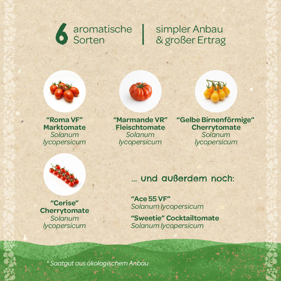 Organic seed set "Tomatoes"