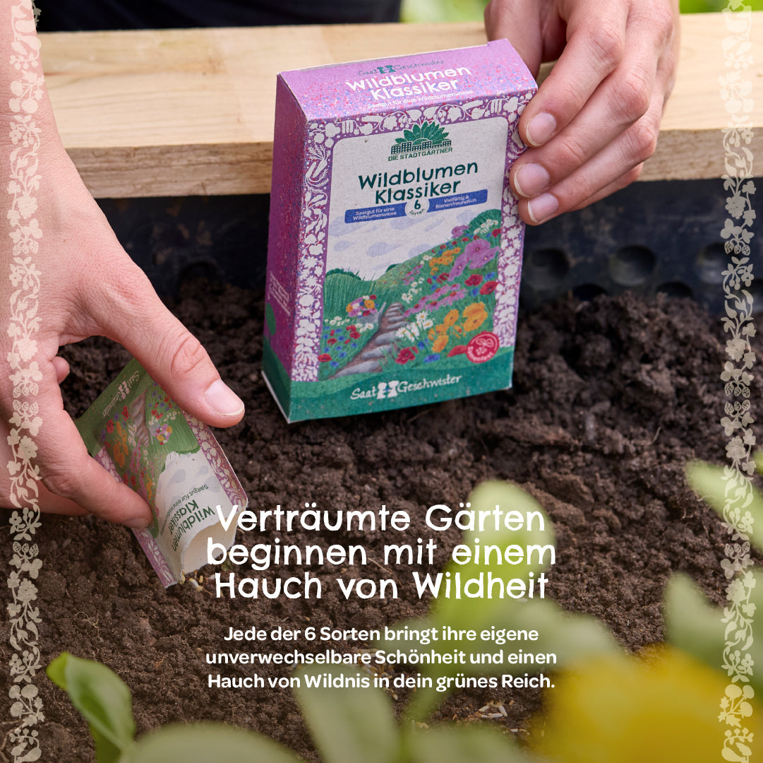 Wildflower Seed Set