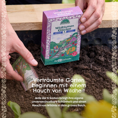 Wildflower Seed Set