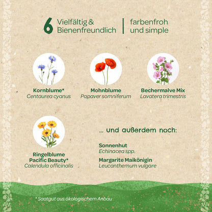 Wildflower Seed Set