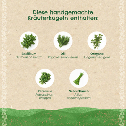 Herb balls – seed balls with herbs