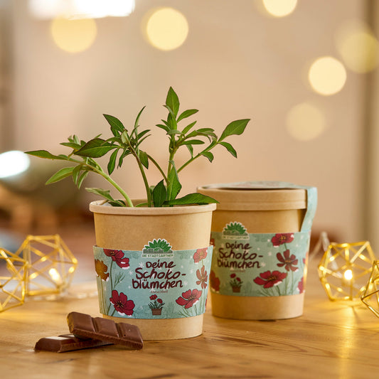 Chocolate flowers from the cup