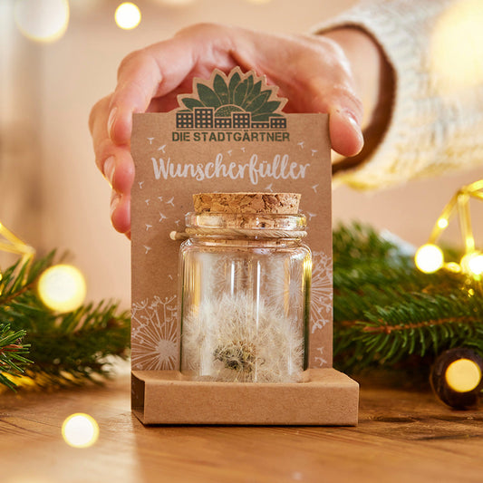 Big wish-fulfiller – dandelion in a glass